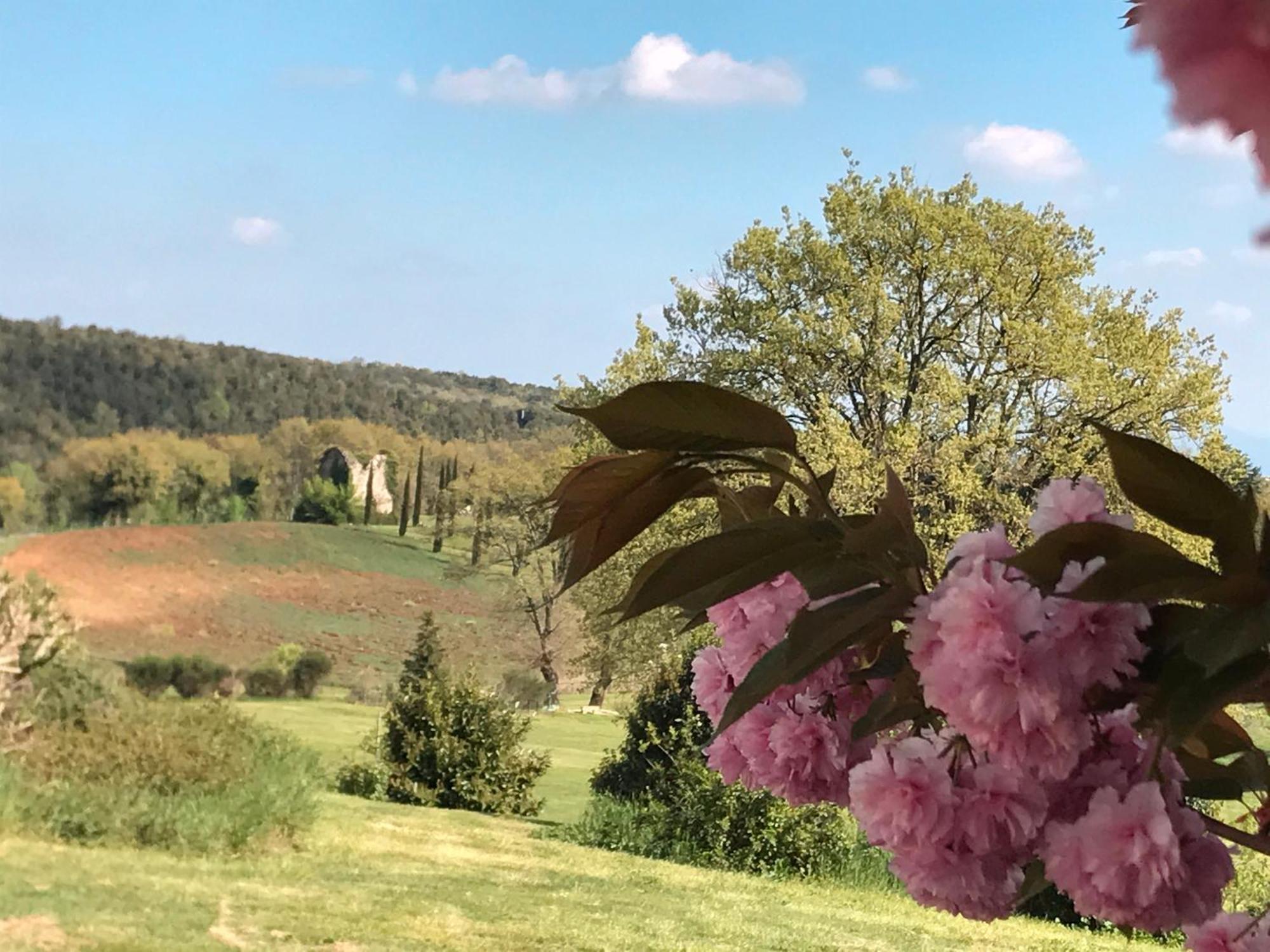 Tenuta Del Gallo Amelia Kültér fotó