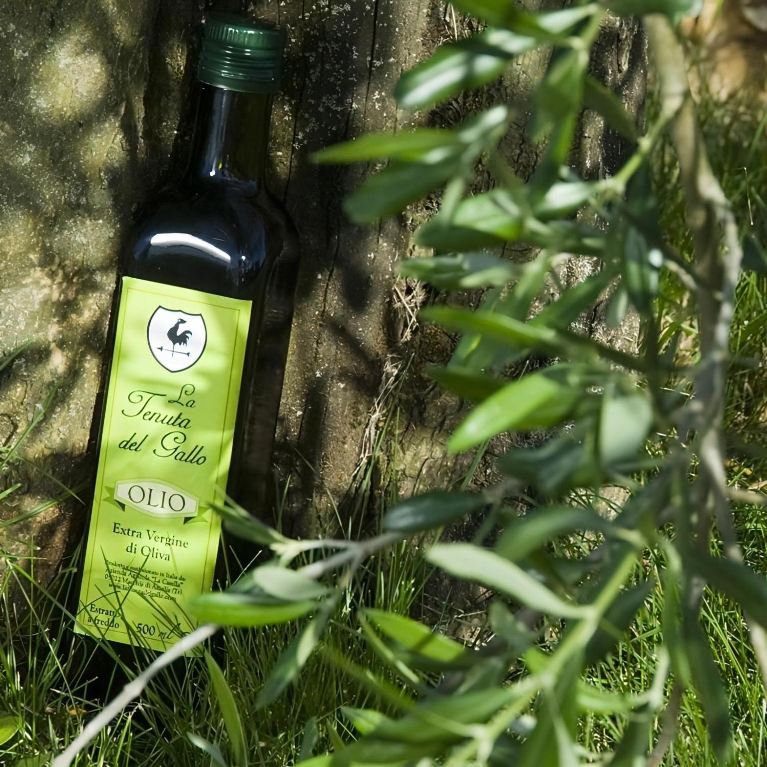Tenuta Del Gallo Amelia Kültér fotó