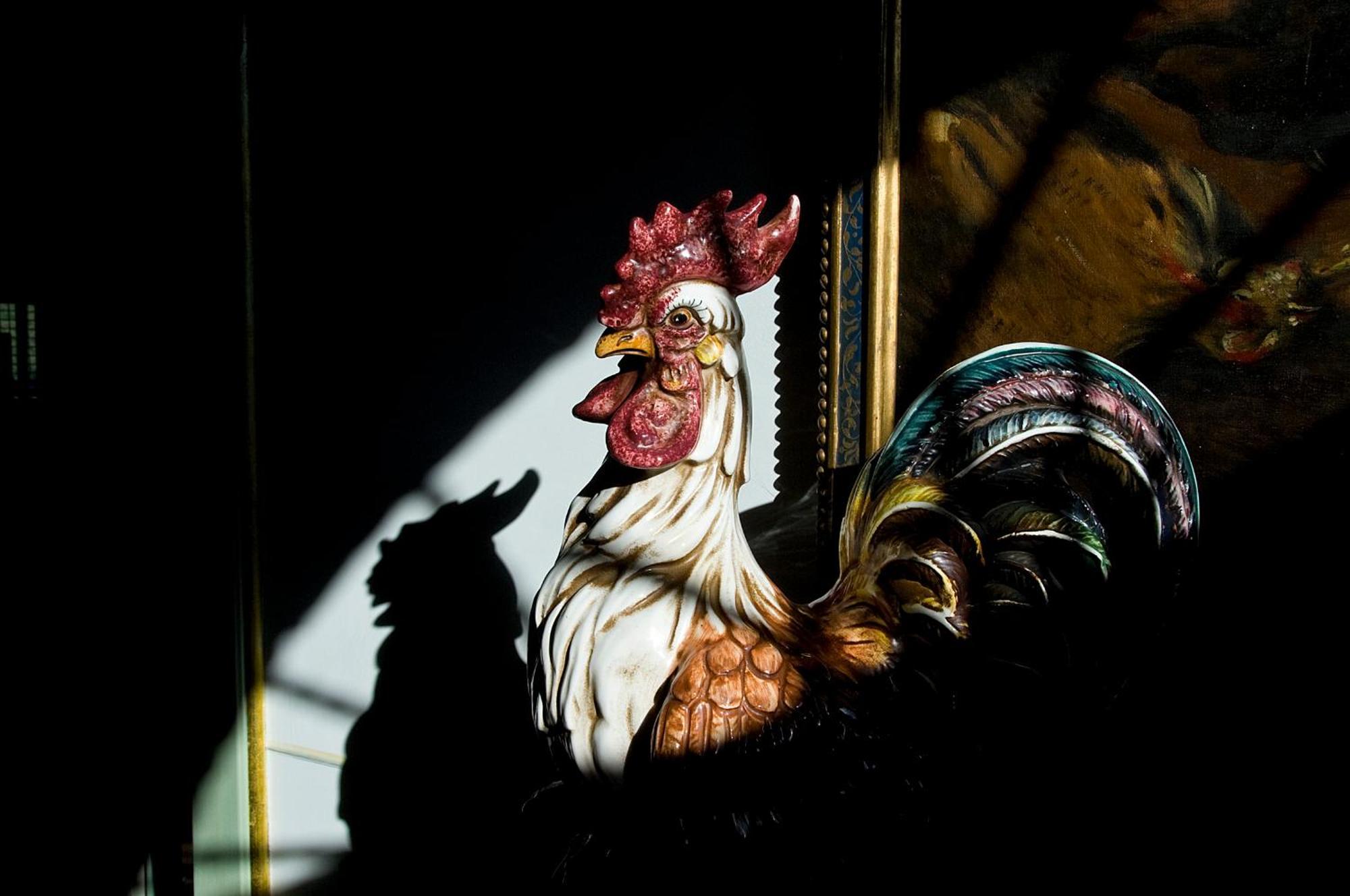 Tenuta Del Gallo Amelia Kültér fotó